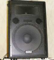 Аккустическая система SoundKing J215A